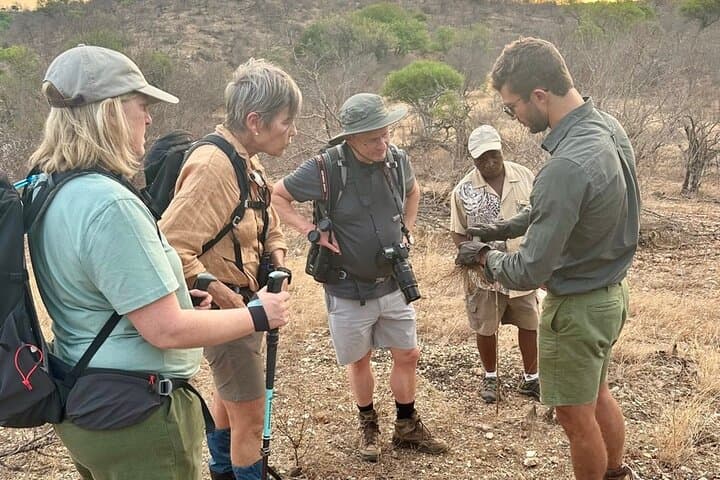 Half-Day Walking Safari in Balule Game Reserve — Greater Kruger Walking Safari photo 4