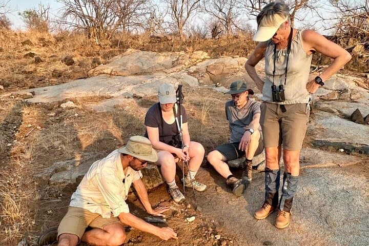 Half-Day Walking Safari in Balule Game Reserve — Greater Kruger Walking Safari photo 5