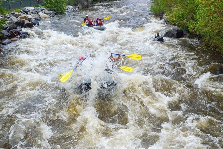 Clear Creek Intermediate Whitewater Rafting Full-Day from Denver