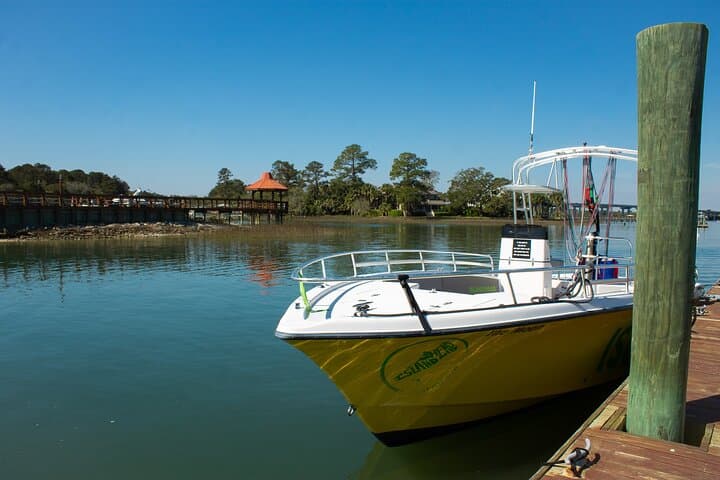 Hilton Head Parasailing Over Calibogue Sound: Harbour Town & Dolphin Views photo 2