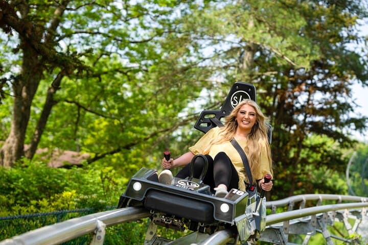 Wild Stallion Mountain Coaster: Ride the Southeast’s Longest 1.25-Mile Track