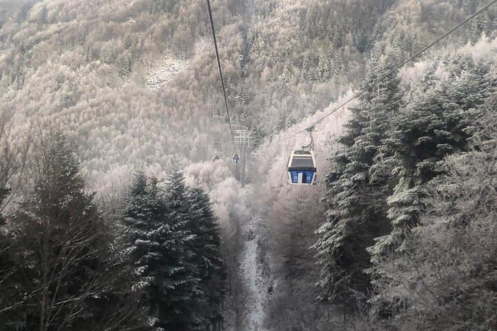 Bursa Green Tour & Uludağ Cable Car — Green Mosque, Inkaya Plane Tree & Silk Market photo 3