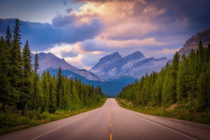 Columbia Icefield Adventure: Peyto Lake, Bow Lake & Skywalk Day Tour from Banff photo 6
