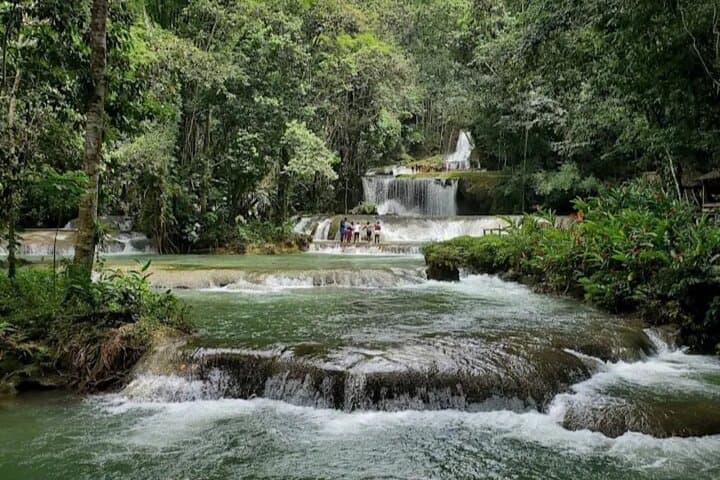 Appleton Estate, YS Falls & Pelican Bar: Full-Day Day Trip from Kingston photo 3