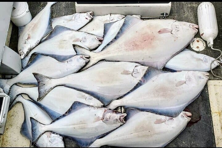 Icy Strait Private Fishing Adventure from Hoonah — Halibut & Salmon photo 3