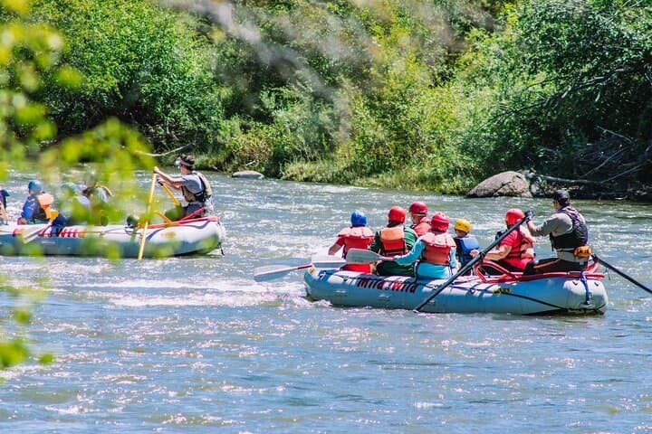 Lower Animas River Rafting from Durango: 3/4-Day Guided Trip with Riverside Lunch photo 2