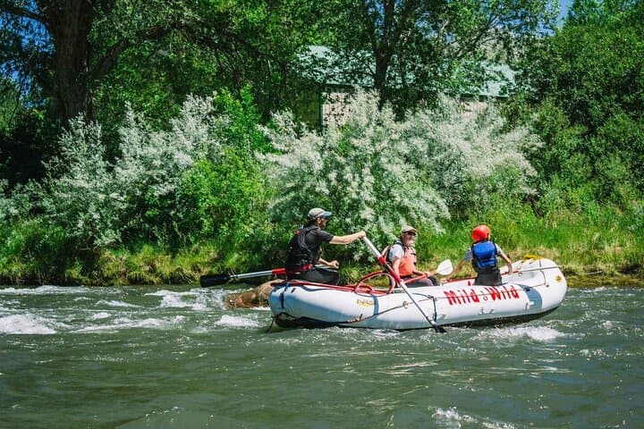 Lower Animas River Rafting from Durango: 3/4-Day Guided Trip with Riverside Lunch photo 3