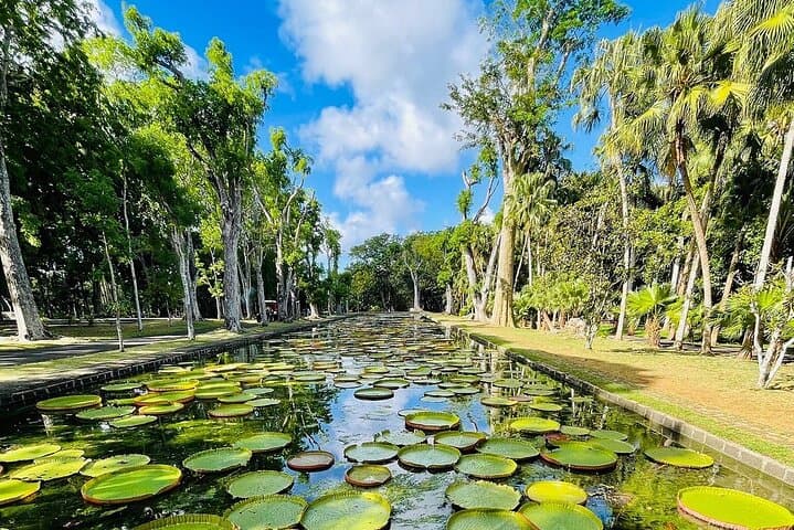 Mauritius North Island Discovery: Port Louis, Pamplemousses & Rum Tasting photo 2