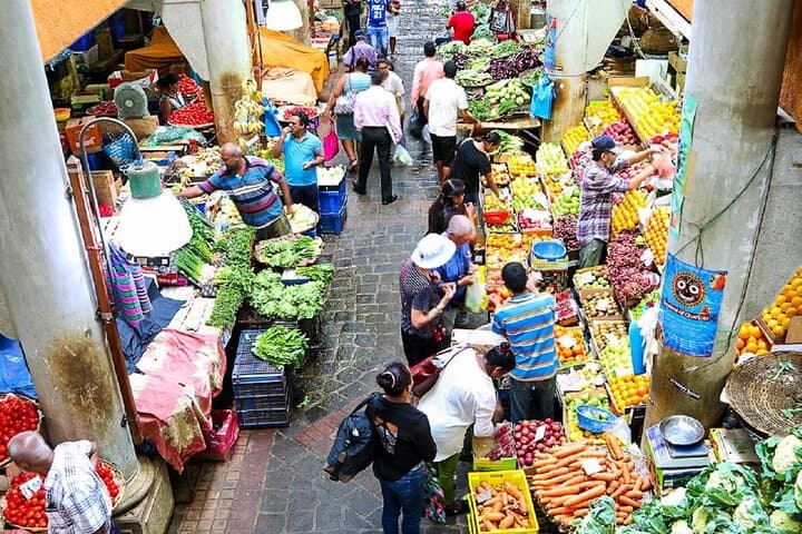 Mauritius North Island Discovery: Port Louis, Pamplemousses & Rum Tasting photo 4