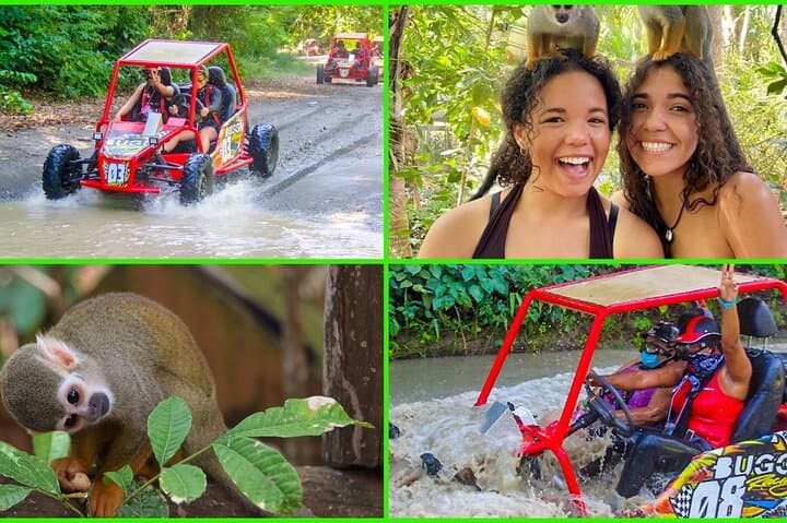 Puerto Plata Monkey Jungle and ATV Dune Buggy Adventure