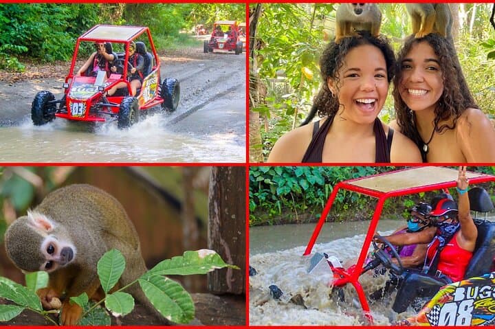 Puerto Plata Buggy & Monkeyland Adventure — ATV Ride, Plantation Visit & Monkey Sanctuary