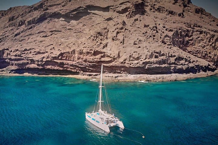 Catamaran Makaira Half-Day Cruise from Palmeira — Snorkel with Dolphins & Turtles photo 1