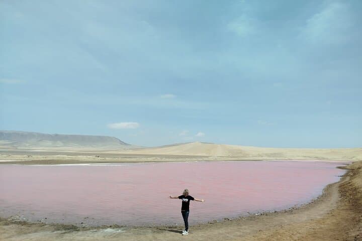 Paracas National Reserve Half-Day Tour: Beaches, Cliffs & Wildlife