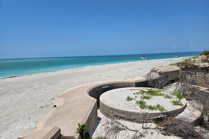 Shell Key & Johns Pass Sandbar Pontoon Cruise — 4-Hour Captain-Led Excursion photo 2