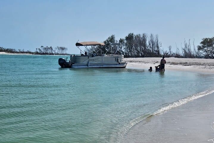 Shell Key & Johns Pass Sandbar Pontoon Cruise — 4-Hour Captain-Led Excursion photo 3