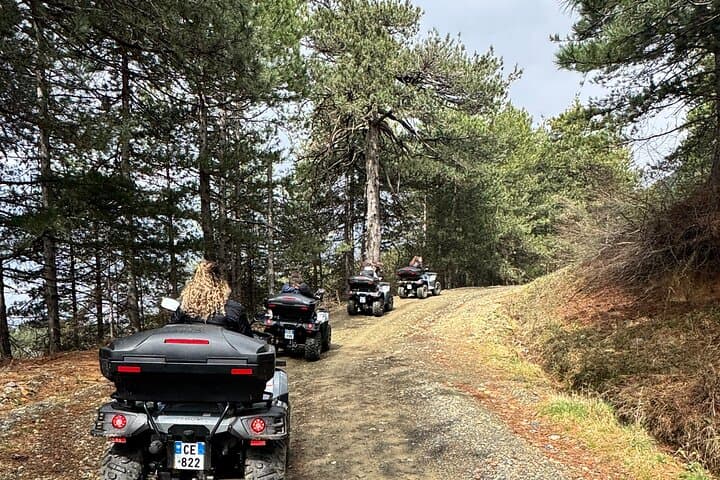 Quad Bikes Gjinar: ATV Tours Through Albania’s Pine-Forested Mountain Trails photo 4