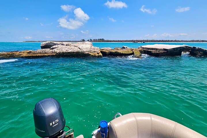 Shell Key & Johns Pass Sandbar Pontoon Cruise — 4-Hour Captain-Led Excursion photo 5