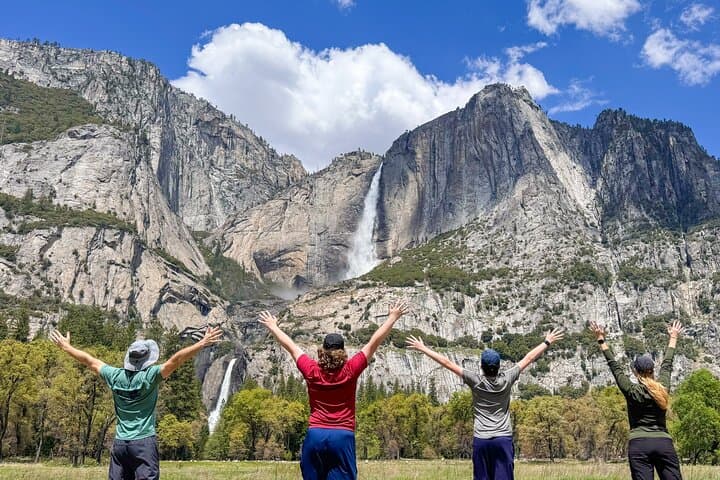 Ultimate Yosemite Private Tour: Iconic Sights, Sequoias & Picnic Lunch