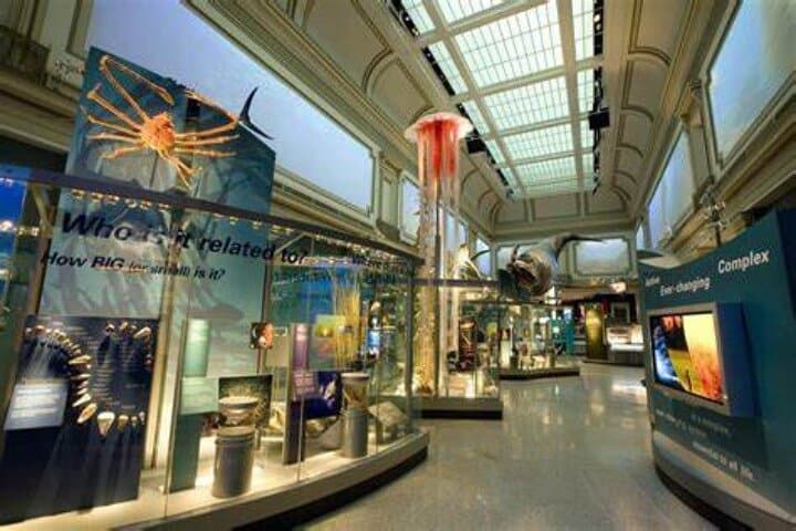 Smithsonian American & Natural History in One Day: National Mall Guided Tour photo 2