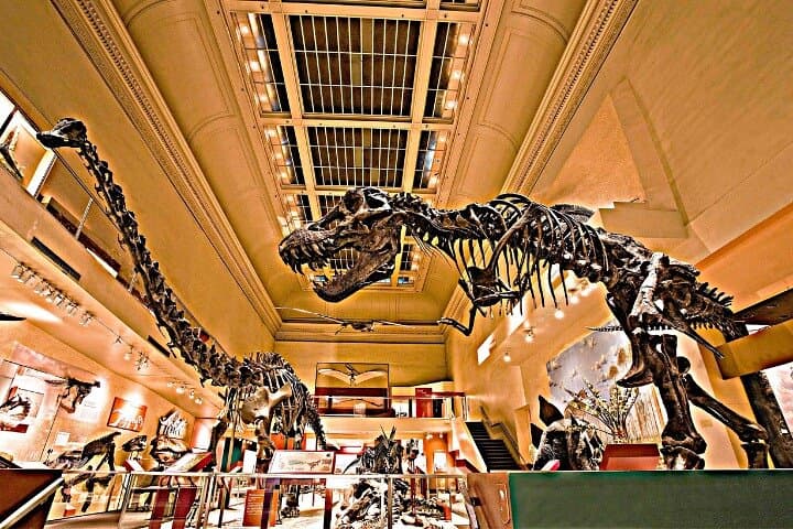 Smithsonian American & Natural History in One Day: National Mall Guided Tour photo 4