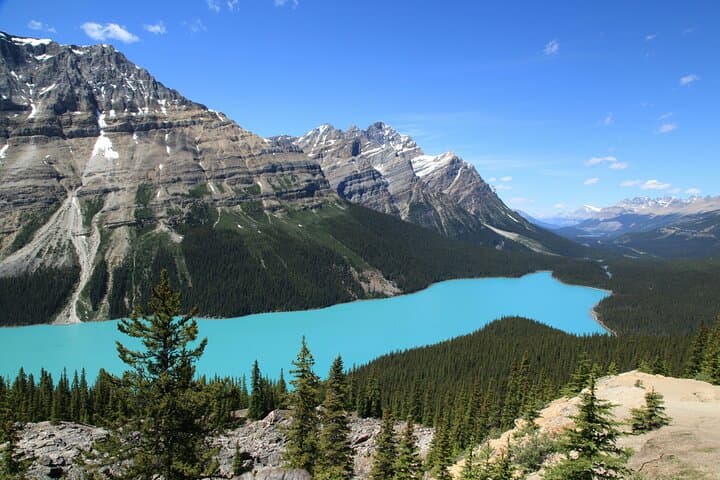 Shuttle to Columbia Icefield from Calgary, Canmore & Banff — Peyto, Bow Lake & Crowfoot Glacier photo 5