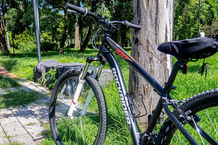 Private Mexico City Bike Tour: Chapultepec to Condesa Guided Ride photo 2