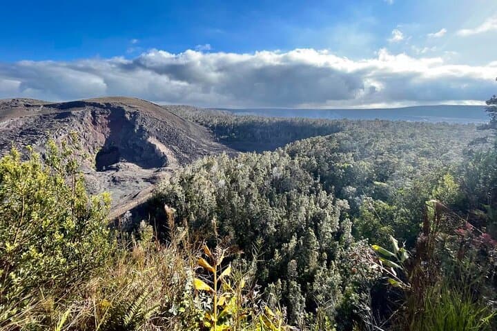 Wild Hawaii Tours fleet