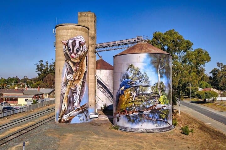 Murray River Paddle Steamer, Koalas & Heathcote Wine — Full-Day Small-Group Tour from Melbourne photo 3