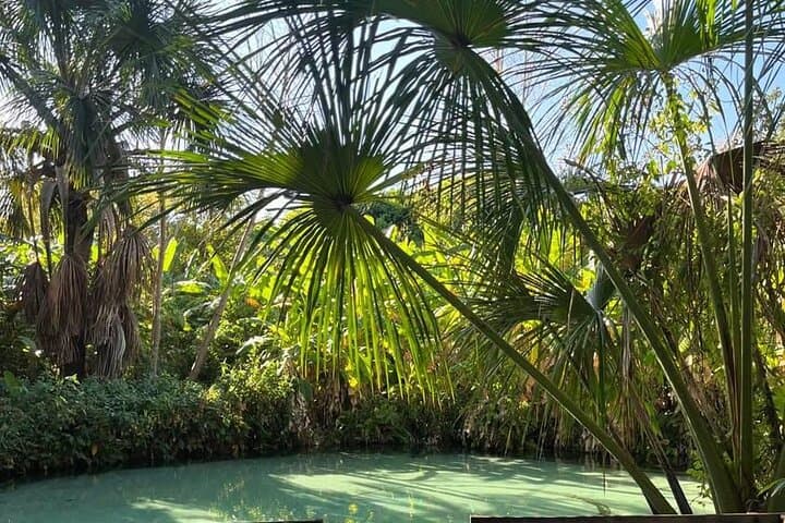 3-Day Jalapão Adventure: Dunes, Fervedouros & Waterfalls from Palmas