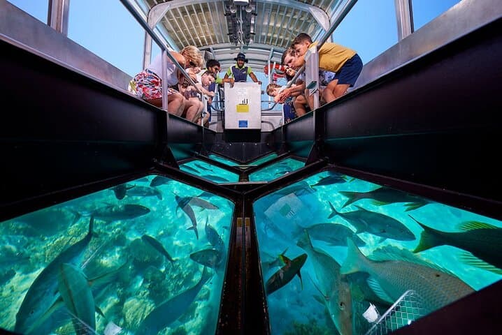 Experience the Ocean's Wonders on a Glass Bottom Boat Adventure