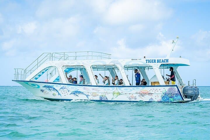 Experience the Ocean's Wonders on a Glass Bottom Boat Adventure photo 2