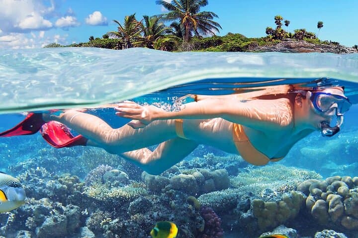 Experience the Ocean's Wonders on a Glass Bottom Boat Adventure photo 5