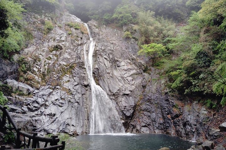 Morning Hike to Nunobiki Falls — Guided Shin-Kobe Waterfall Walk
