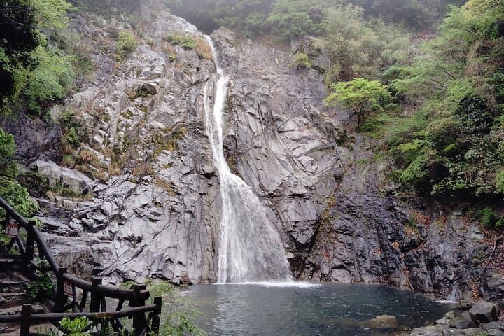 Morning Hike to Nunobiki Falls — Guided Shin-Kobe Waterfall Walk photo 5