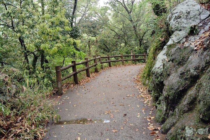 Morning Hike to Nunobiki Falls — Guided Shin-Kobe Waterfall Walk photo 4