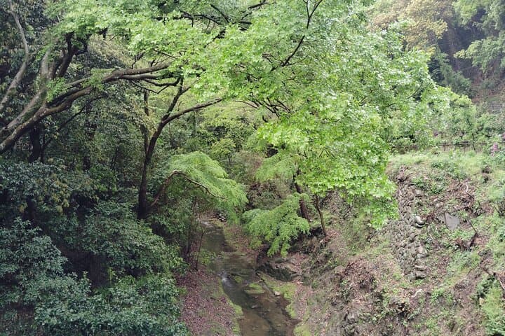 Morning Hike to Nunobiki Falls — Guided Shin-Kobe Waterfall Walk photo 6