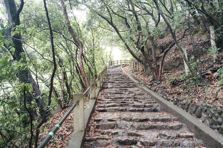 Morning Hike to Nunobiki Falls — Guided Shin-Kobe Waterfall Walk photo 3