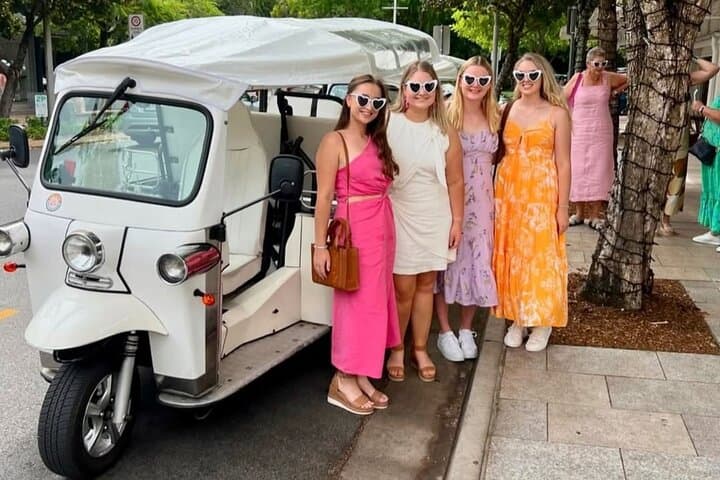 Brisbane by E‑Tuk Tuk: A Private Riverside City Tour in 2 Hours photo 2