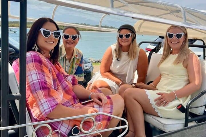 Brisbane by E‑Tuk Tuk: A Private Riverside City Tour in 2 Hours photo 4