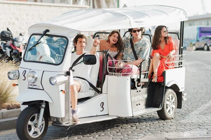 Brisbane by E‑Tuk Tuk: A Private Riverside City Tour in 2 Hours photo 5