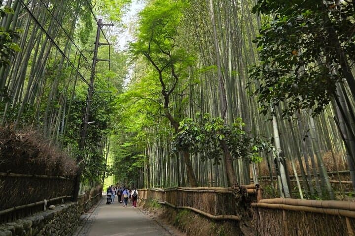 Arashiyama Half-Day Tour: Bamboo Grove, Temples & Monkey Park