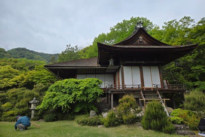 Arashiyama Half-Day Tour: Bamboo Grove, Temples & Monkey Park photo 3