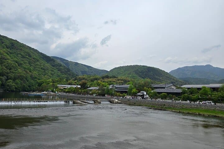 Arashiyama Half-Day Tour: Bamboo Grove, Temples & Monkey Park photo 4