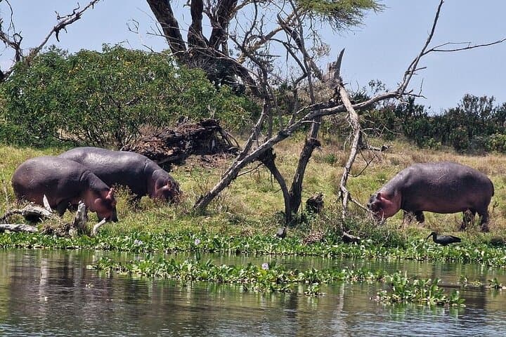 Day Trip to Hell's Gate & Lake Naivasha from Nairobi — Bike, Hike, Boat photo 4