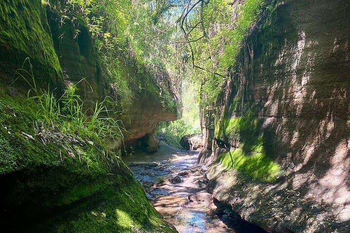 Day Trip to Hell's Gate & Lake Naivasha from Nairobi — Bike, Hike, Boat photo 5