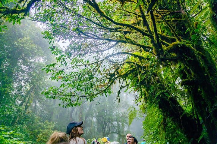 Doi Inthanon Waterfalls, Pagodas & Rice Fields Day Tour from Chiang Mai photo 6