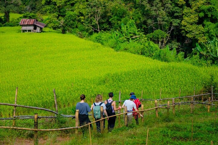 Doi Inthanon Full-Day Trek: Summit Views, Waterfalls & Pha Dok Siew Village