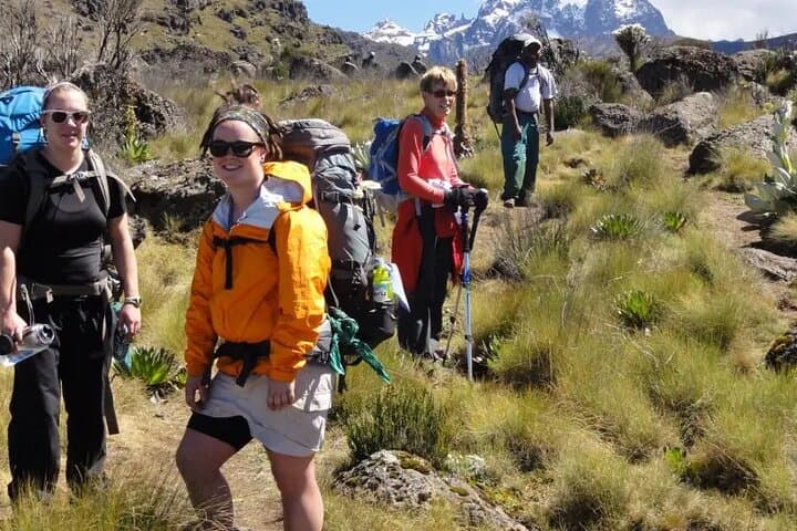 Mount Kenya Full-Day Hike via Naro Moru Route: A 4WD Adventure from Nairobi photo 5