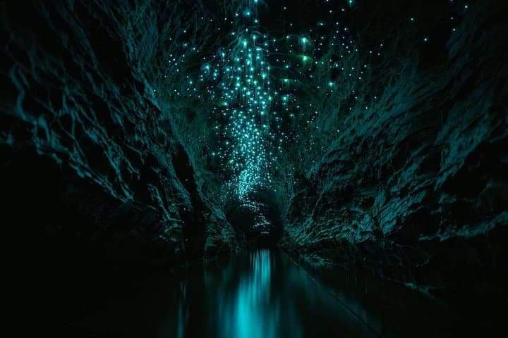 Okohua Glowworm Cave Adventure: Private Waitomo Black‑Water Rafting & Cave Tubing photo 2