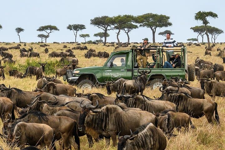 5-Day Maasai Mara & Ol Pejeta Safari: Wildlife, Lakes and Migration Highlights photo 1